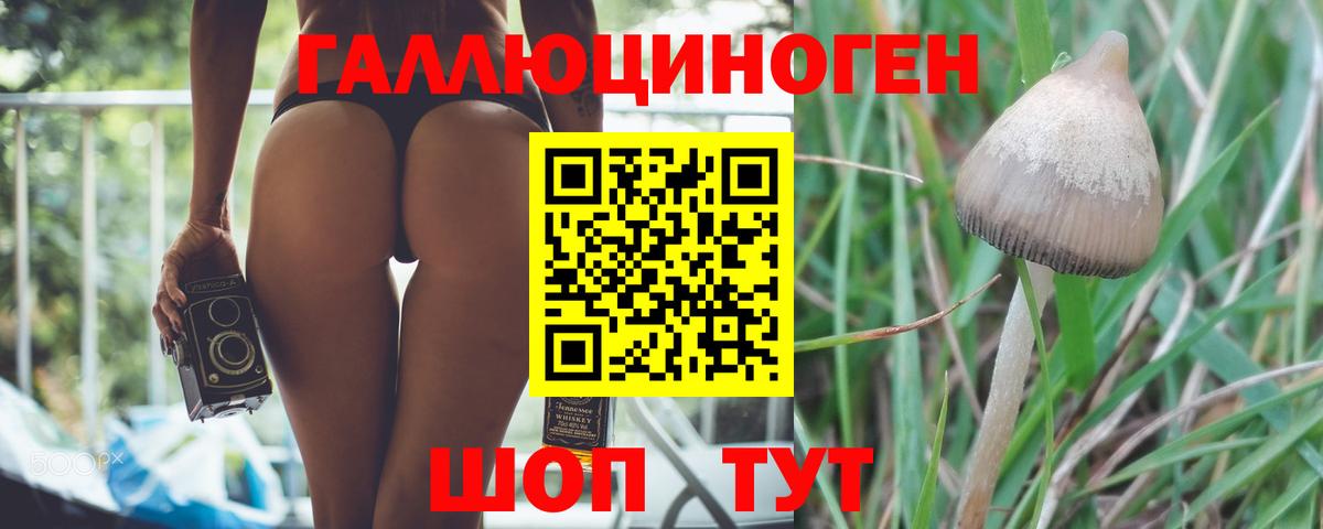 Галлюциногенные грибы MAGIC MUSHROOMS  Вход с VPN  Арсеньев 